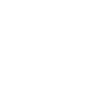 Steam